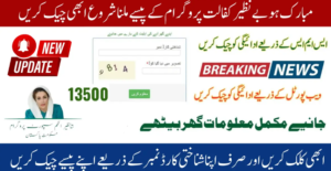 How to Verify Your 13,500 PKR Payment via the 8171 Web Portal – Latest Update 2025